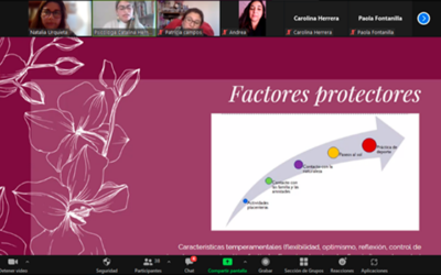 OAME ULS realiza charla sobre Bienestar emocional en contextos educativos a Colegio de la región